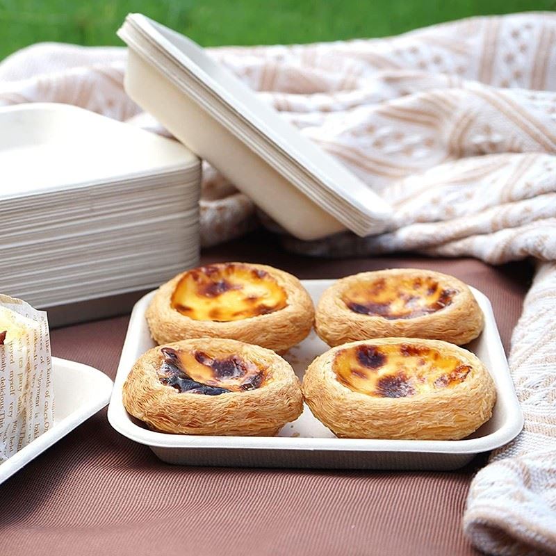 6 inch compostable plates